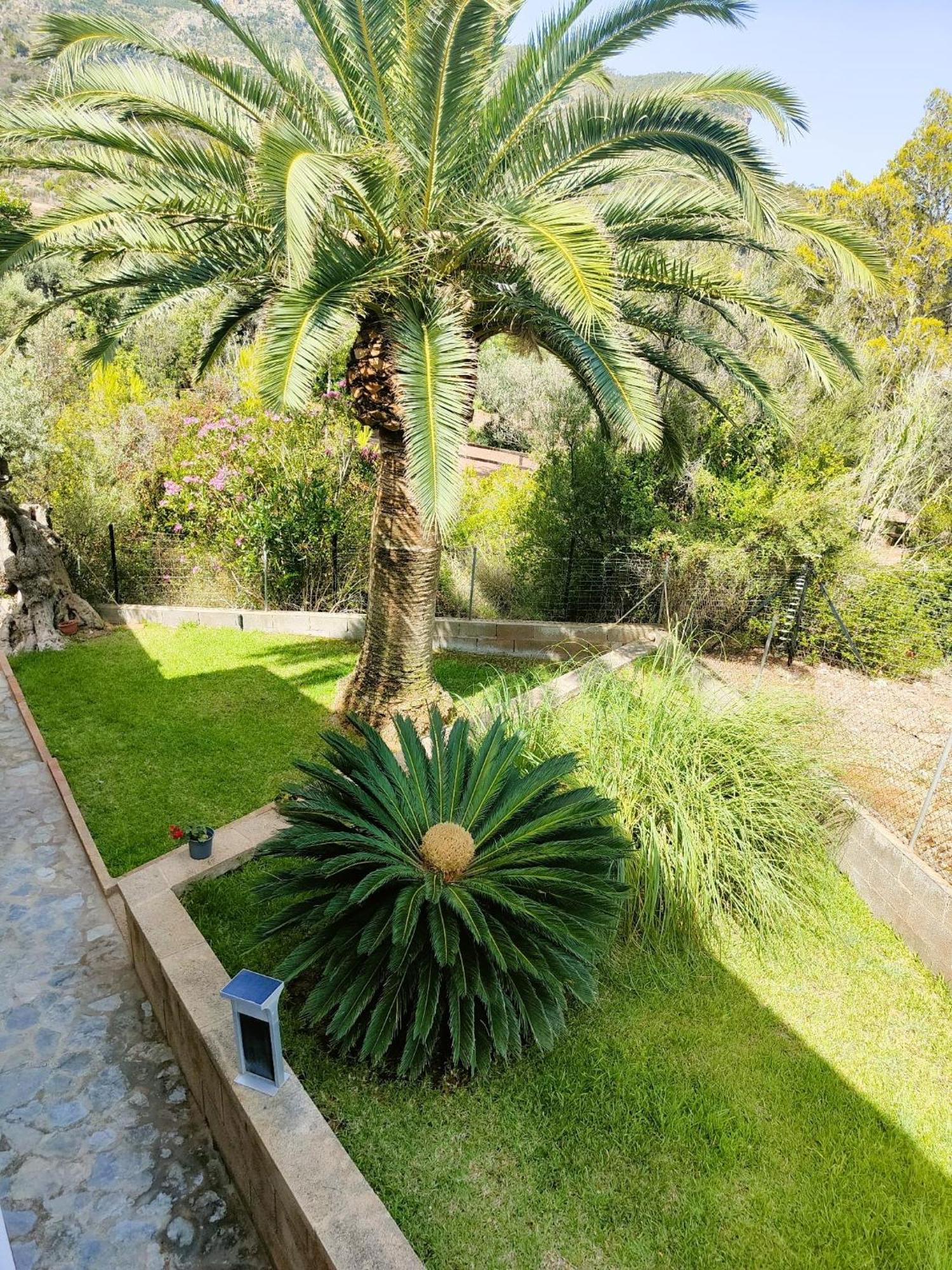 Villa Capllonch Banyalbufar Dış mekan fotoğraf